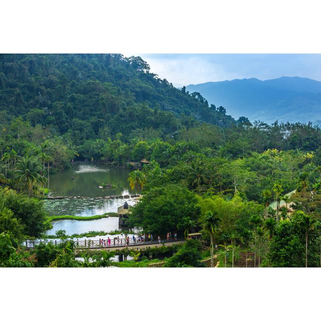 Halpin Lake in the Rainforest by Valery Bocman - Wrapped Canvas Art Prints Alpen Home Size: 20cm H x 30cm W x 3.8cm D on Productcaster.