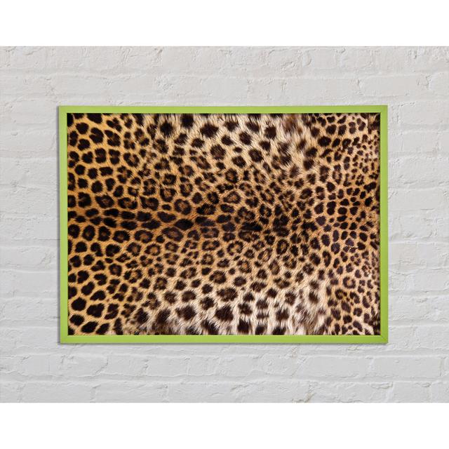 Annelynn Cheetah Markings - Single Picture Frame Art Prints Brayden Studio Size: 59.7cm H x 84.1cm W x 2cm D on Productcaster.