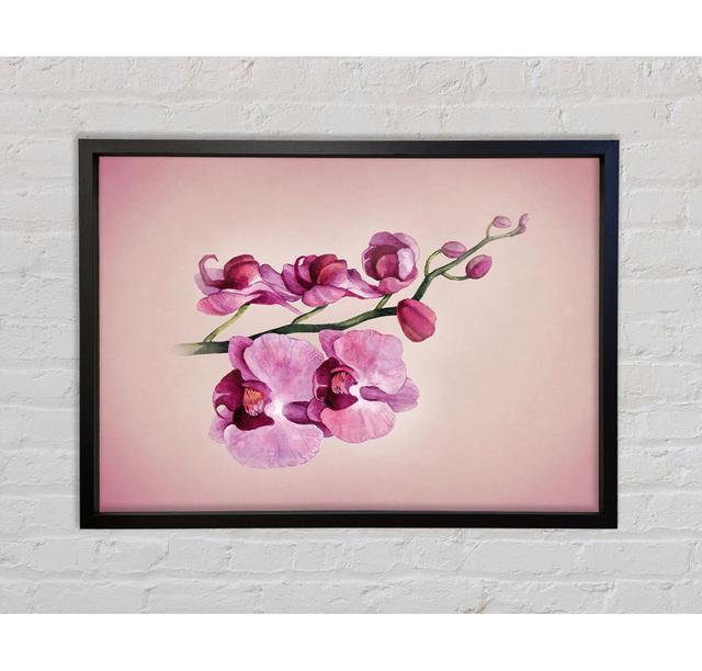 Pink Orchid - Print Ophelia & Co. Size: 59.7cm H x 84.1cm W x 3.3cm D, Format: Black Framed Canvas on Productcaster.