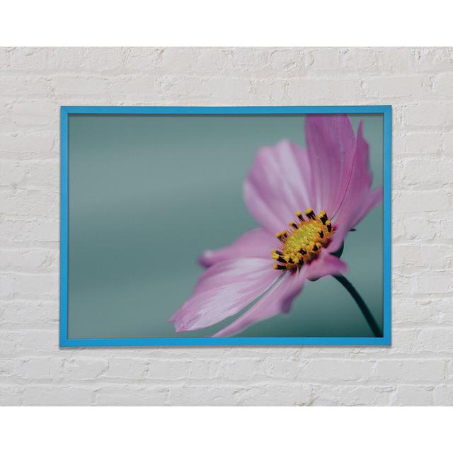 Single Picture Frame Art Prints Brayden Studio Size: 29.7cm H x 42cm W on Productcaster.