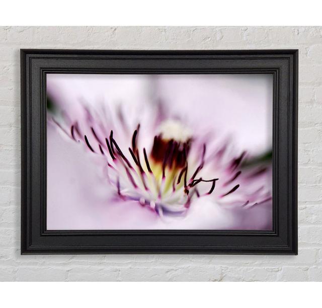 Pink Heaven Centre - Single Picture Frame Art Prints Brayden Studio Size: 29.7cm H x 42cm W x 8cm D on Productcaster.