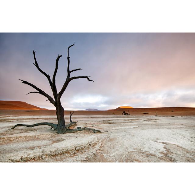 Deadvlei Mist Natur Pur Size: 30cm H x 46cm W x 3.8cm D on Productcaster.