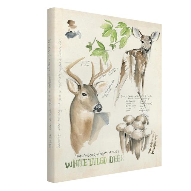 Wilderness Journal Deer - Wrapped Canvas Painting Union Rustic on Productcaster.