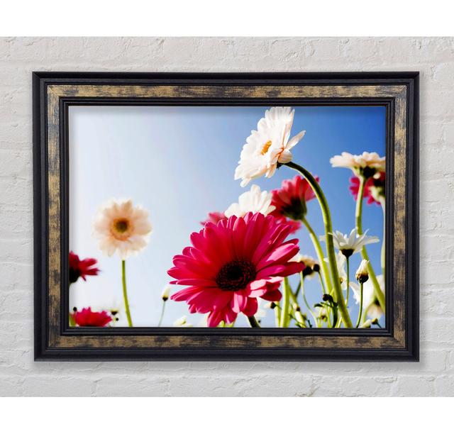 Single Picture Frame Art Prints Ebern Designs Size: 21cm H x 29.7cm W x 8cm D, Format: Gold/Black Framed Paper on Productcaster.