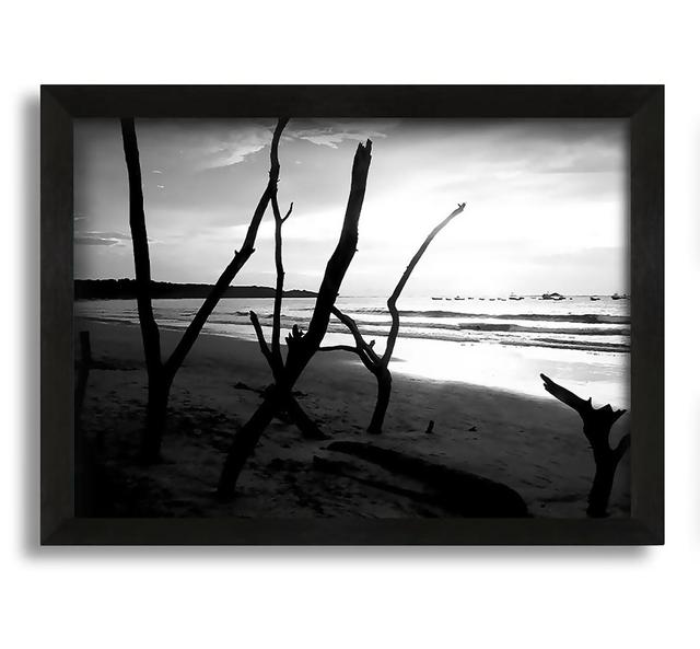 Driftwood Beach B N W Framed Print House of Hampton Size: 60cm H x 84cm W x 10cm D on Productcaster.