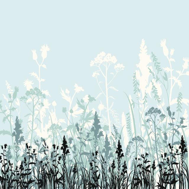 Heinrike Silhouettes Of Flowers And Grass - Wrapped Canvas Photograph ClassicLiving Size: 76cm H x 76cm W x 3.8cm D on Productcaster.