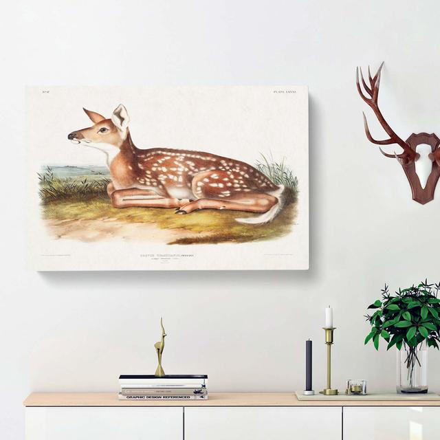 American Deer - Wrapped Canvas Painting East Urban Home Size: 35cm H x 50cm W x 3cm D on Productcaster.