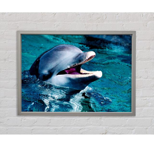 Dolphins Call - Single Picture Frame Art Prints on Canvas Bright Star Size: 84.1cm H x 118.9cm W x 3.3cm D on Productcaster.