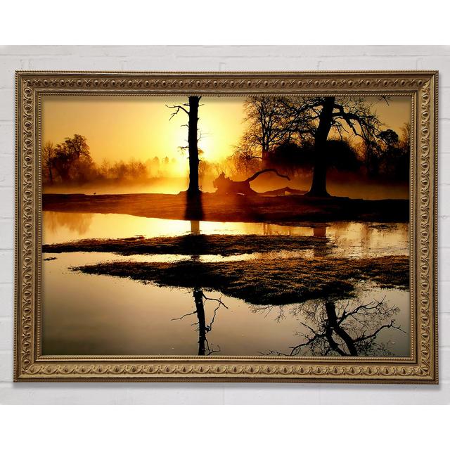 Golden Lake Sunset - Einzelner Bilderrahmen Kunstdrucke Bright Star Größe: 42cm H x 59,7cm B on Productcaster.