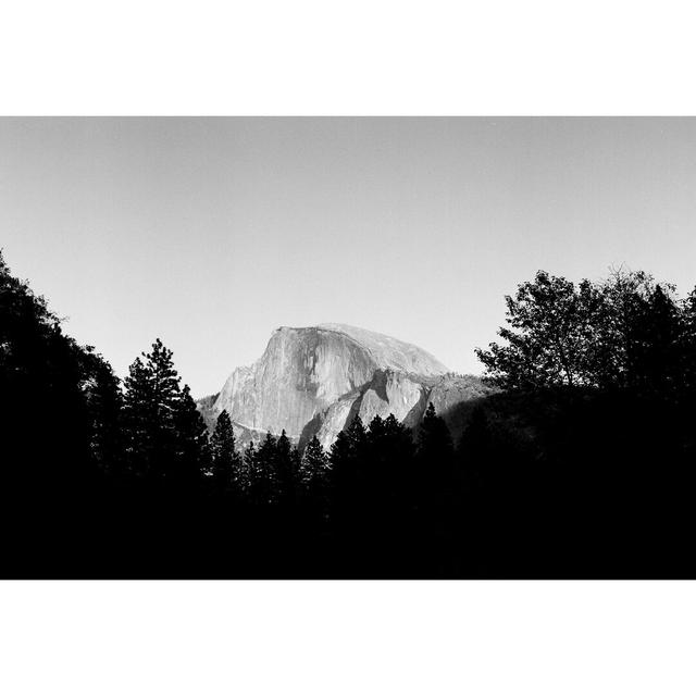 Half Dome in Trees by Bradford Smith - Wrapped Canvas Photograph Print Blue Elephant Size: 81cm H x 122cm W on Productcaster.