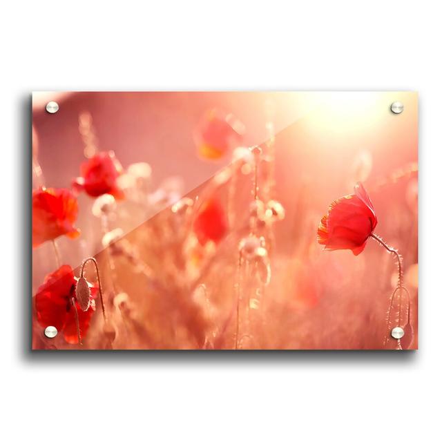 Summer Light Flowers - Unframed Photograph Print on Acrylic East Urban Home Size: 59.4cm H x 84.1cm W on Productcaster.