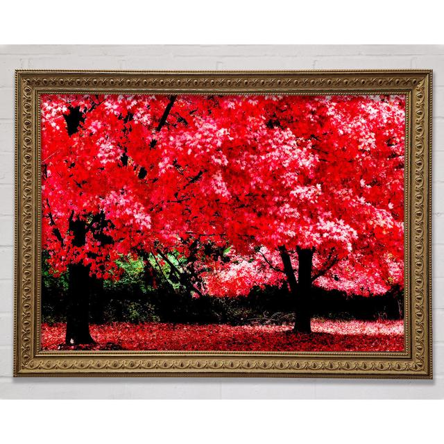 Single Picture Frame Art Prints Bright Star Size: 84.1cm H x 118.9cm W on Productcaster.