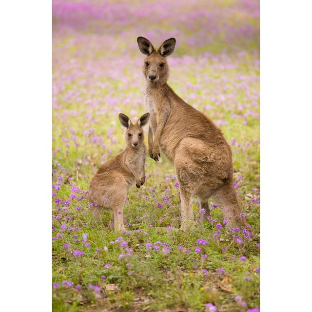 Mum And Joey by Mburt - Print 17 Stories Size: 30cm H x 20cm W x 3.8cm D on Productcaster.