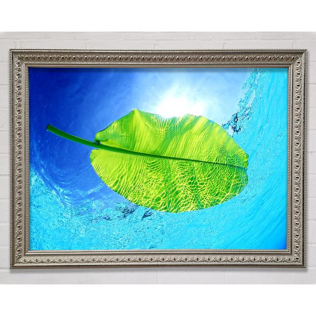 Blue Waters Of A Green Leaf Framed Print Bright Star Size: 29.7cm H x 42cm W on Productcaster.