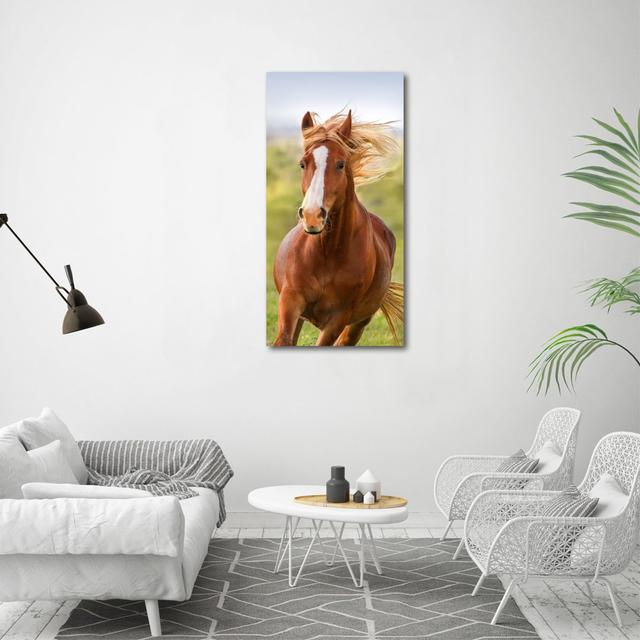 Pferd im Galopp - Kunstdrucke auf Leinwand Gracie Oaks on Productcaster.