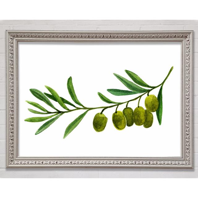 Olive Branch Framed Print Bright Star Size: 59.7cm H x 84.1cm W x 3cm D on Productcaster.