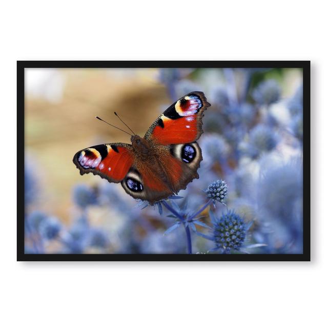 Gerahmtes Poster Beautiful Butterfly Peacock Eye Brambly Cottage Größe: 100 cm H x 70 cm B x 2.5 cm T on Productcaster.