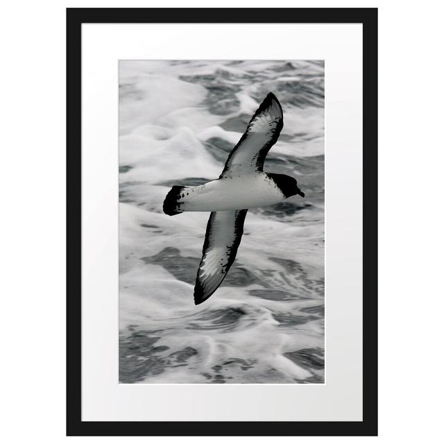 Gerahmtes Poster Magnificent Seagull Flying over Water East Urban Home Größe: 55 cm H x 40 cm B x 2,5 cm T, Farbe: Schwarz/Weiß/Grau on Productcaster.