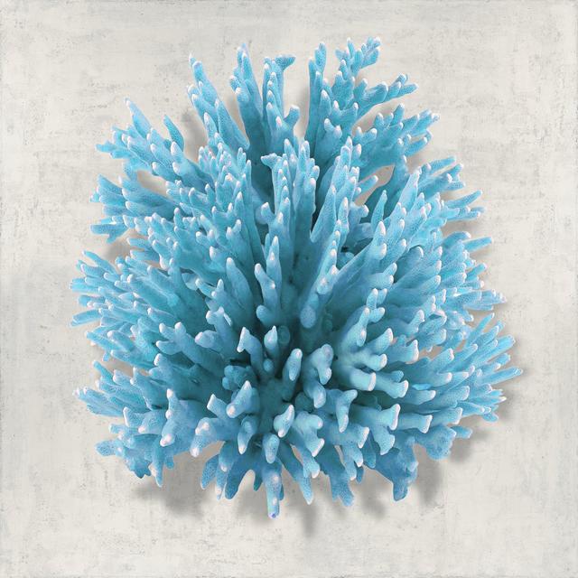 Coral Aqua I House of Hampton Size: 51cm H x 51cm W on Productcaster.