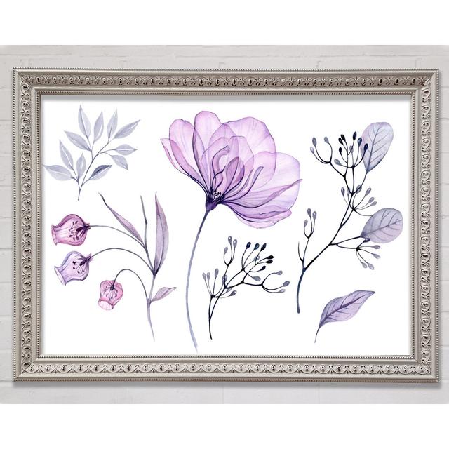 Small Lilac Crocus Illustration - Print Bright Star Size: 59.7cm H x 84.1cm W x 3cm D on Productcaster.