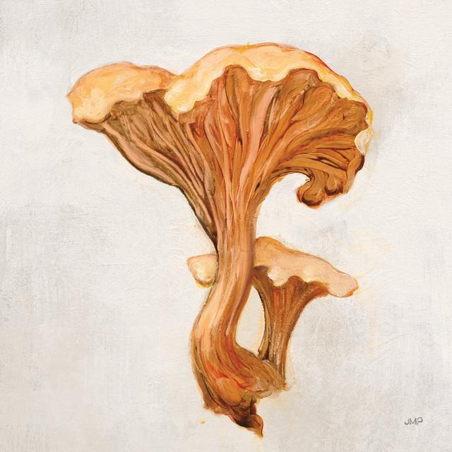 Woodland Mushroom IV by Julia Purinton - Wrapped Canvas Painting August Grove Size: 122cm H x 81cm W on Productcaster.