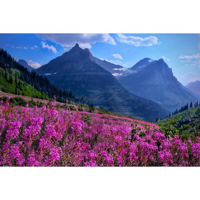 Frechette Wildflowers - Wrapped Canvas Photograph Alpen Home Size: 81cm H x 122cm W x 3.8cm D on Productcaster.