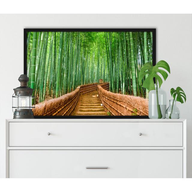 Gerahmtes Foto "Kyoto Japan Bamboo Forest" Sansibar Home Größe: 38 cm H x 30 cm B x 2.5 cm T on Productcaster.