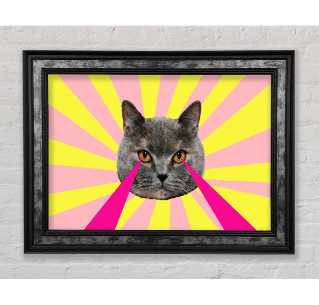 Cat Lazer Eyes Framed Print Happy Larry Size: 21cm H x 29.7cm W on Productcaster.