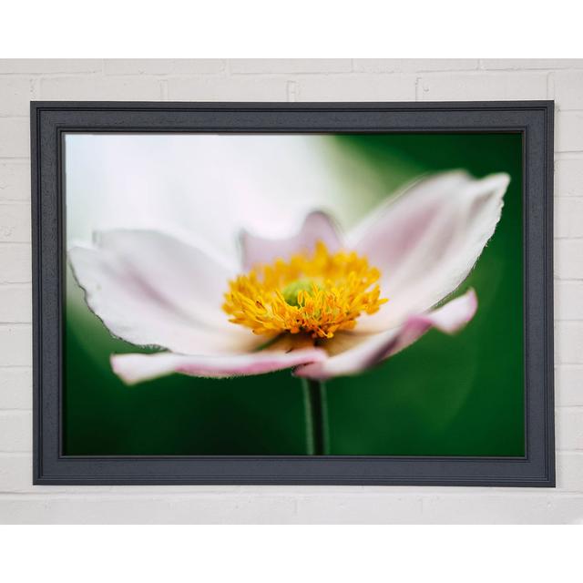 Single Picture Frame Art Prints Brayden Studio Size: 84.1cm H x 118.9cm W x 1.5cm D on Productcaster.