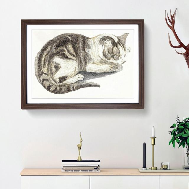 Cat by Johan Teyler - Picture Frame Painting Print East Urban Home Frame Option: Walnut Framed, Size: 36cm H x 48cm W x 2cm D on Productcaster.