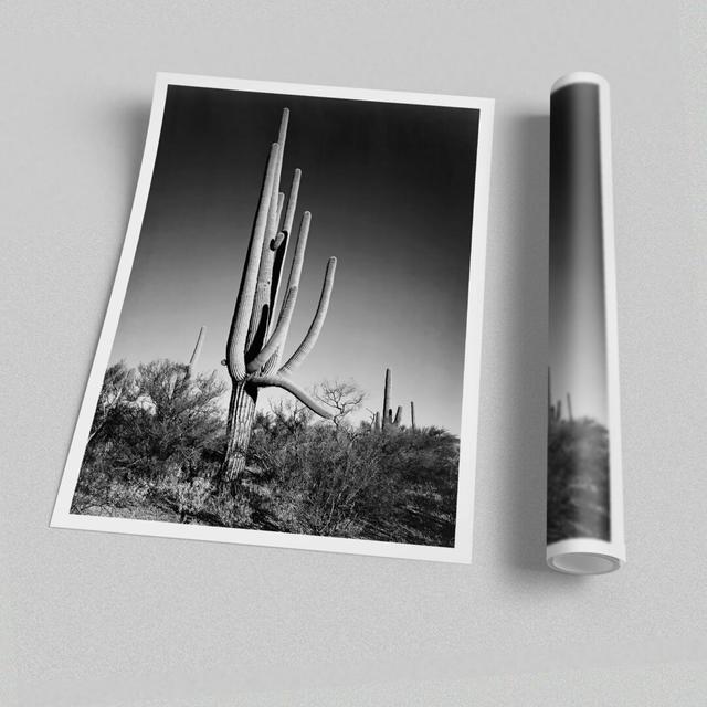 'Cactus in Saguaro National Monument in Arizona' by Ansel Adams - Unframed Photograph Print on Paper East Urban Home Size: 118.9 cm H x 84.1 cm W on Productcaster.