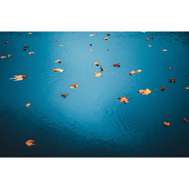 Autumn leaves In water 1163851542 House of Hampton Size: 81cm H x 122cm W x 3.8cm D on Productcaster.