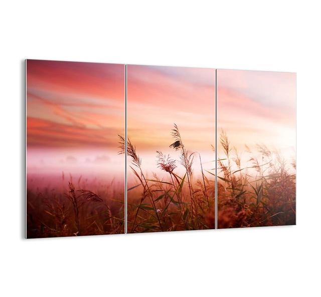 3-tlg. Glasbilder-Set - Fotografie „Kites, Dandelions, Wind” Ebern Designs Größe: 110 cm H x 165 cm x 1,8 cm T on Productcaster.