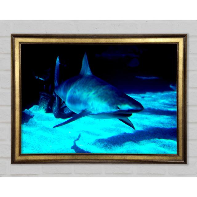 Shark Hunt Framed Print Highland Dunes Size: 21.1cm H x 29.7cm W on Productcaster.