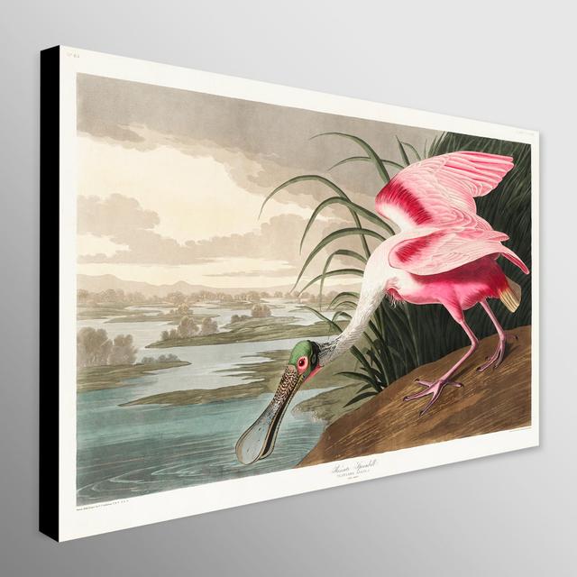 Roseate Spoonbill by John Audubon - Wrapped Canvas Art Prints ClassicLiving Size: 41cm H x 61cm W on Productcaster.