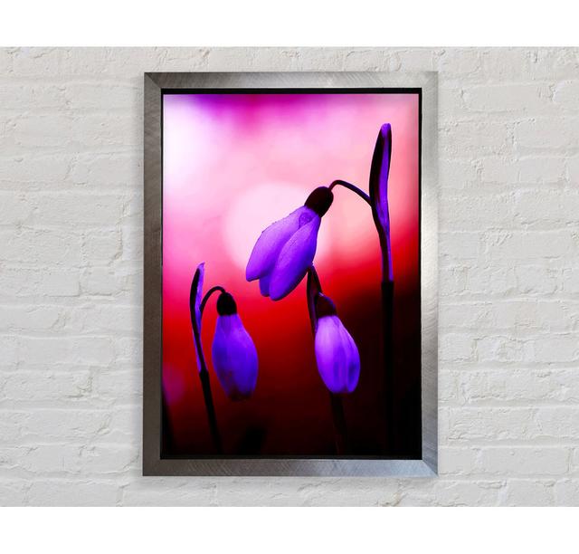 Violet Snowdrops - Print Brayden Studio Size: 118.9cm H x 84.1cm W x 3.4cm D, Format: Black Framed Paper on Productcaster.