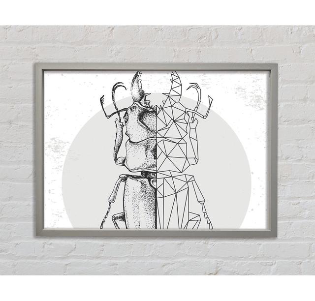 The Stag Beetle Sketch - Single Picture Frame Art Prints on Canvas Bright Star Size: 59.7cm H x 84.1cm W x 3.3cm D on Productcaster.