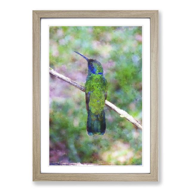 Hummingbird Vol.4 - Picture Frame Graphic Art East Urban Home Frame Option: Oak Framed, Size: 36cm H x 27cm W x 2cm D on Productcaster.