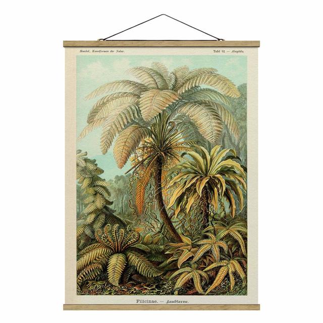 Botany Vintage Illustration Deciduous Ferns - Unframed Painting on Fabric 17 Stories Size: 133.5cm H x 100cm W x 0.3cm D on Productcaster.