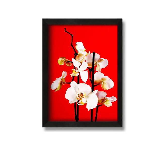 White Orchard Beauty On Red - Picture Frame Photograph on Canvas Brayden Studio Size: 30cm H x 21cm W x 10cm D on Productcaster.