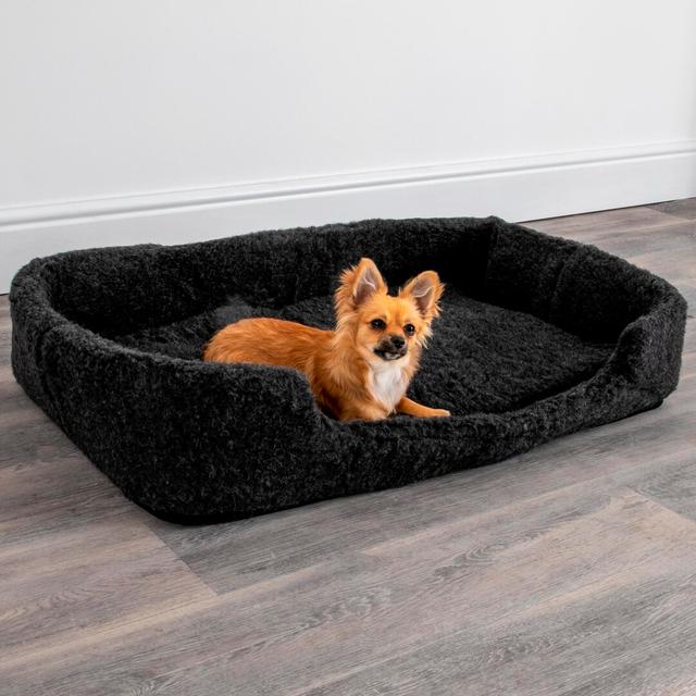 Azaiah Fleece Pet Bed Archie & Oscar Colour: Black, Size: 15cm H x 90cm W x 60cm D on Productcaster.