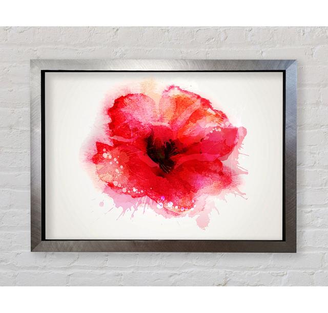 Delicate Poppy - Single Picture Frame Art Prints Rosalind Wheeler Format: Silver Framed Paper, Size: 100cm H x 141.4cm W x 3.4cm D on Productcaster.