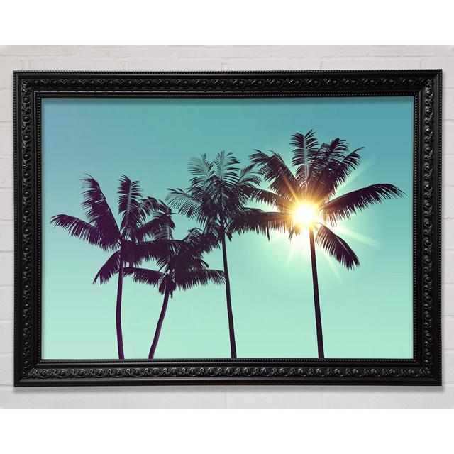 Sun Through The Palm Tree Skies - Print Bright Star Size: 59.7cm H x 84.1cm W on Productcaster.