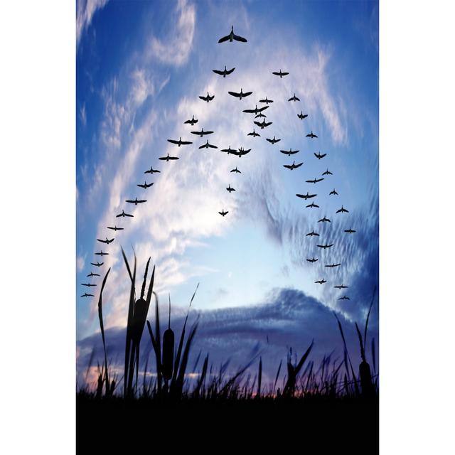 Migrating Canada Geese - Wrapped Canvas Print 17 Stories Size: 76cm H x 51cm W x 3.8cm D on Productcaster.