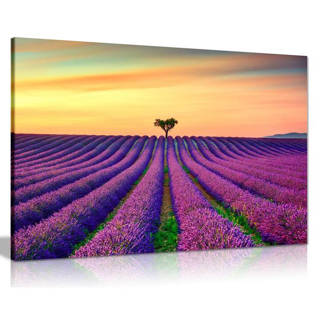 Lavender Field With Sunset - Wrapped Canvas Print Ebern Designs Size: 51cm H x 76cm W on Productcaster.