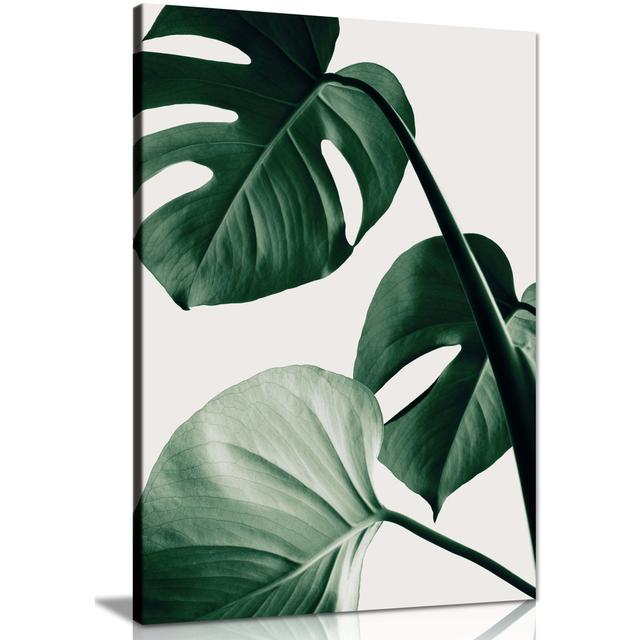 Monstera Plant Leaves - Wrapped Canvas Print Panther Print Size: 76cm H x 51cm W on Productcaster.