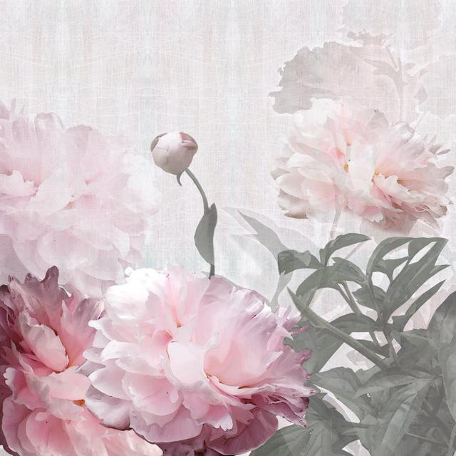 Peonies by Tigra62 - Wrapped Canvas Art Prints Marlow Home Co. Size: 80cm H x 80cm W on Productcaster.