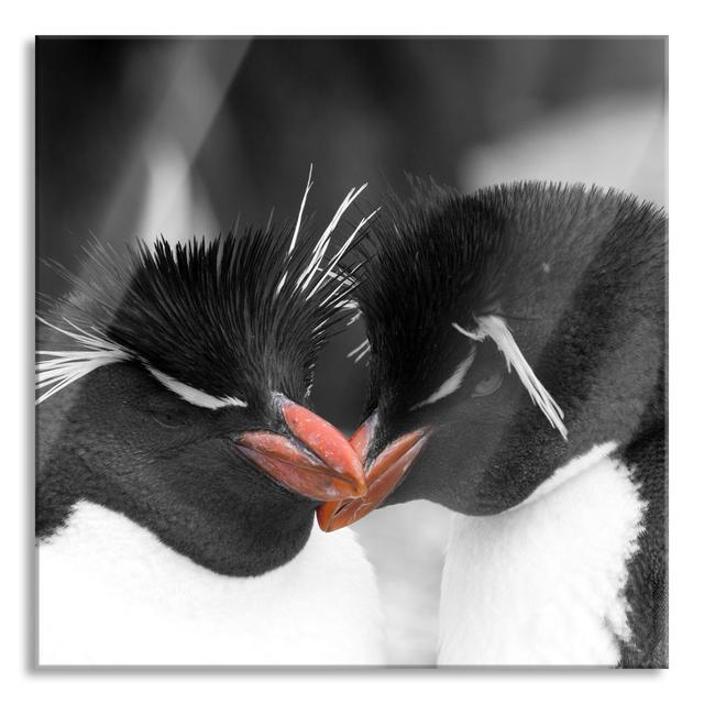 Penguins Cuddling - Unframed Photograph on Glass Brayden Studio Size: 70cm H x 70cm W x 0.4cm D on Productcaster.