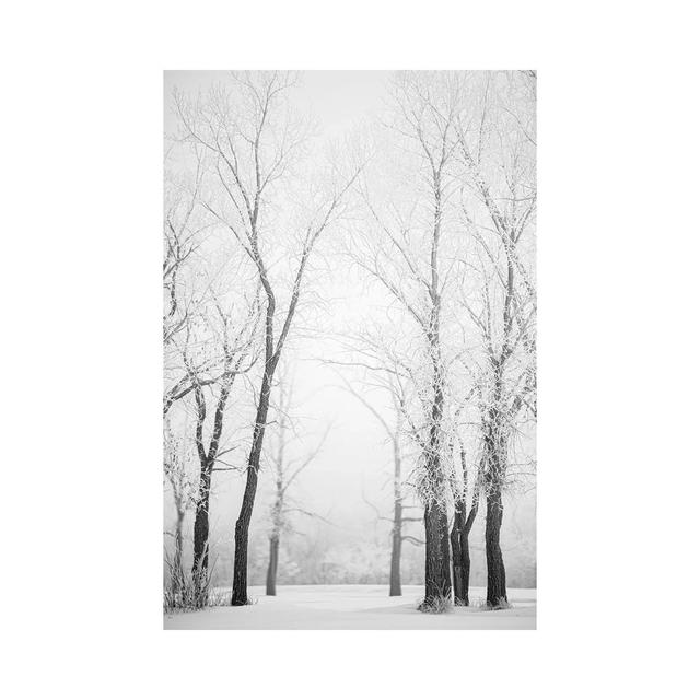 Hoarfrost Trees Path by Nik Rave - Wrapped Canvas Gallery-Wrapped Canvas Giclée Alpen Home Size: 30.48cm H x 20.32cm W on Productcaster.