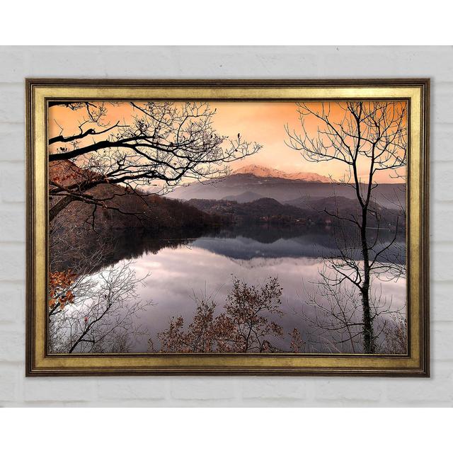 Bare Forest In Autumn Framed Print Alpen Home Size: 21cm H x 29.7cm W x 1.5cm D on Productcaster.